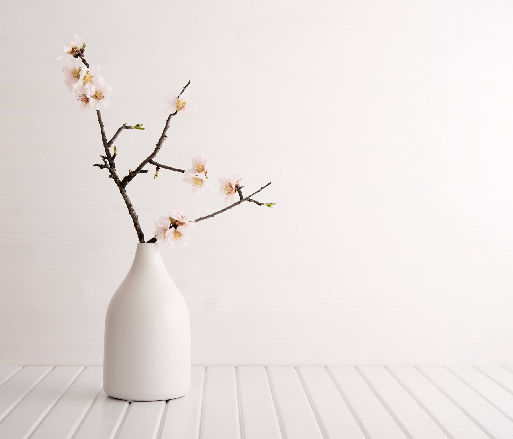 Vase with cherry blossom